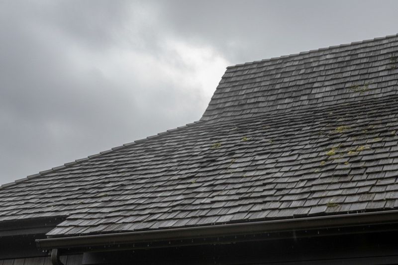 Shake Roof Repair Service